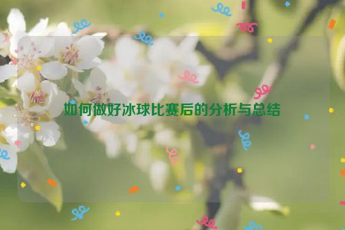 如何做好冰球比赛后的分析与总结